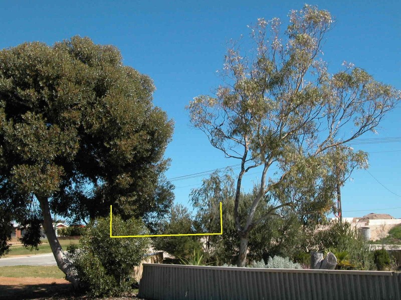 6 LINDSAY STREET, Jurien Bay WA 6516