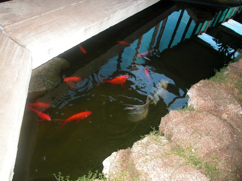 26 AQUILLA STREET, Jurien Bay WA 6516