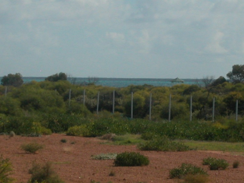 LOT 1135 CASUARINA CRESCENT, Jurien Bay WA 6516