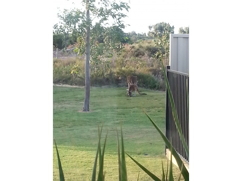 88 (LOT 223) PREMIER DRIVE, Jurien Bay WA 6516