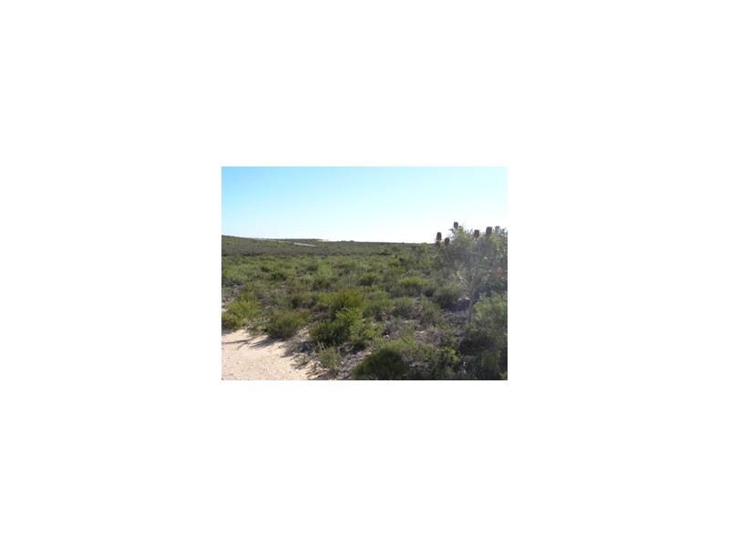 LOT 306 PREMIER DRIVE, Jurien Bay WA 6516