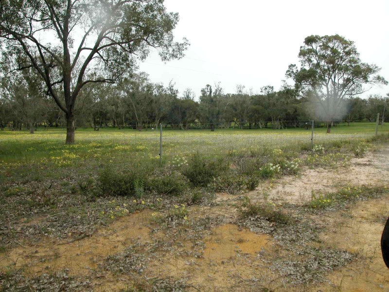 L946 NYLAGARDA ROAD, Jurien Bay WA 6516