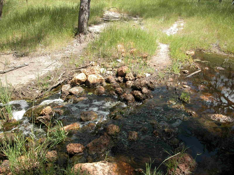 L946 NYLAGARDA ROAD, Jurien Bay WA 6516