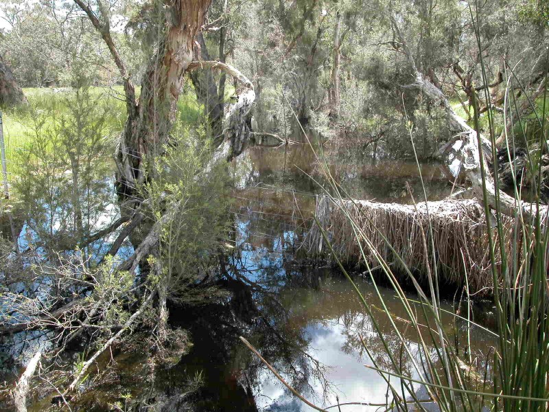 LOT 946 NYLAGARDA ROAD, Badgingarra WA 6521