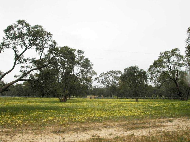 LOT 946 NYLAGARDA ROAD, Badgingarra WA 6521