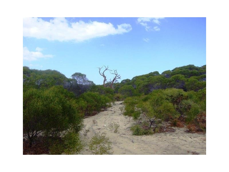 LOT 46 RIVER LOOP, Jurien Bay WA 6516