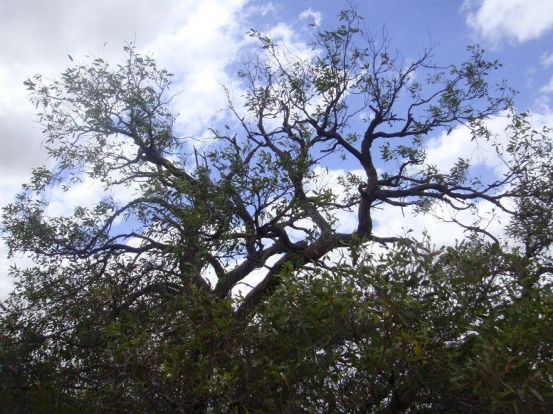 LOT 46 RIVER LOOP, Jurien Bay WA 6516