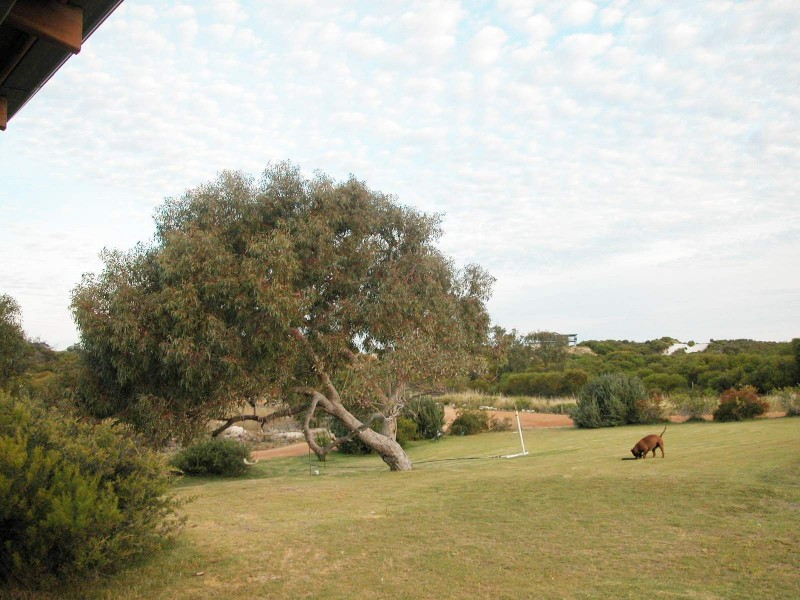 46 (LOT 120) HOMESTEAD LOOP, Jurien Bay WA 6516