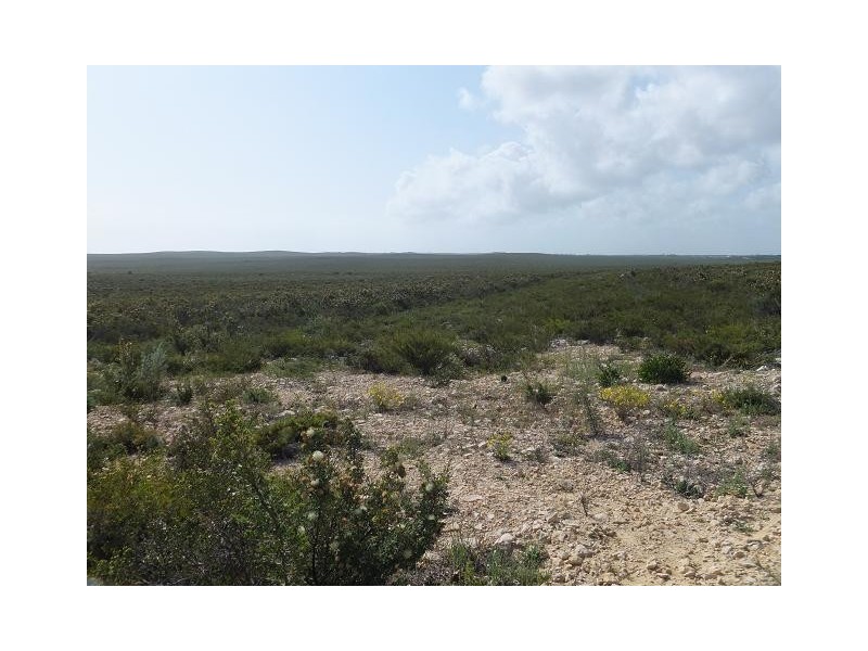 Lot 401 Ridge Way, Jurien Bay WA 6516