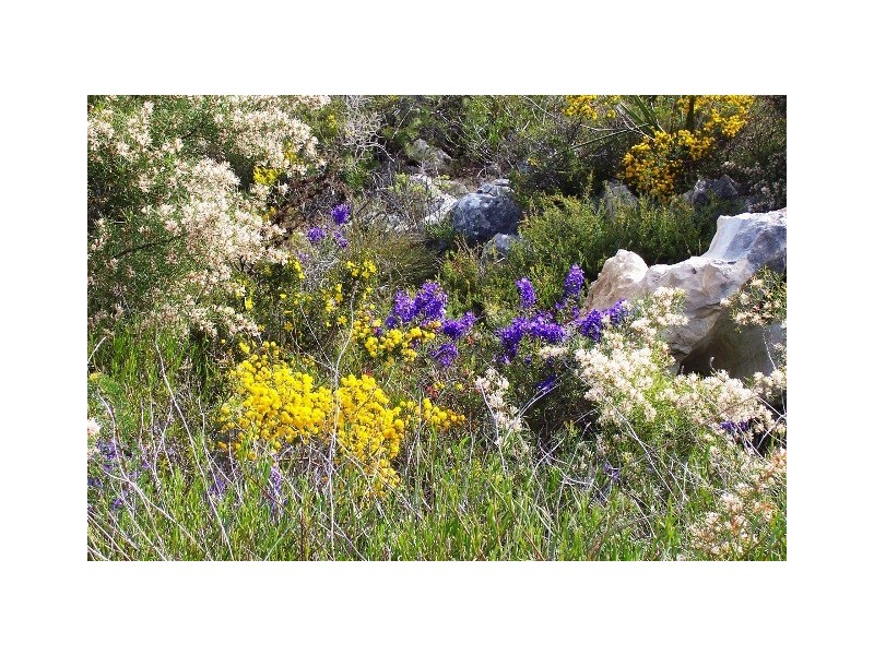 LOT 70 RIVER LOOP, Jurien Bay WA 6516