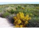 LOT 70 RIVER LOOP, Jurien Bay WA 6516