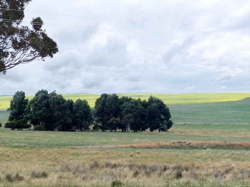 1253 Munbinea Road, Hill River WA 6521