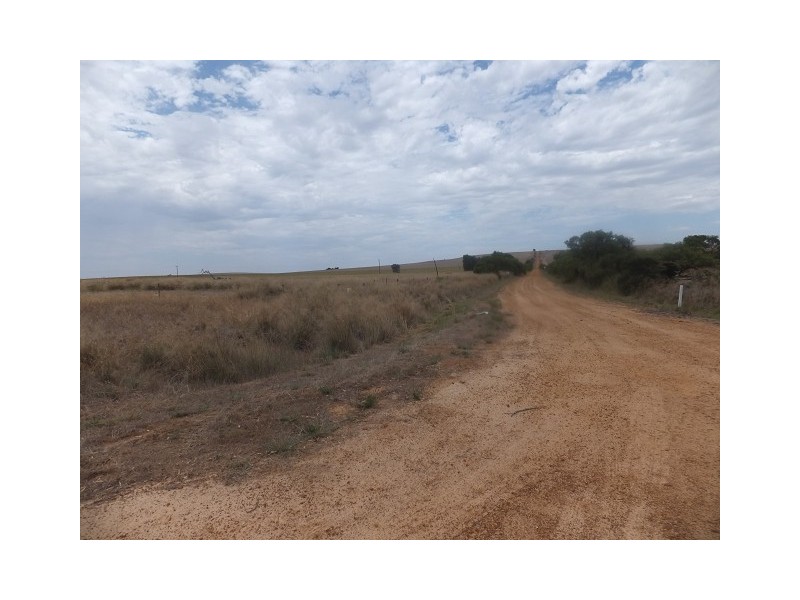 1253 Munbinea Road, Hill River WA 6521