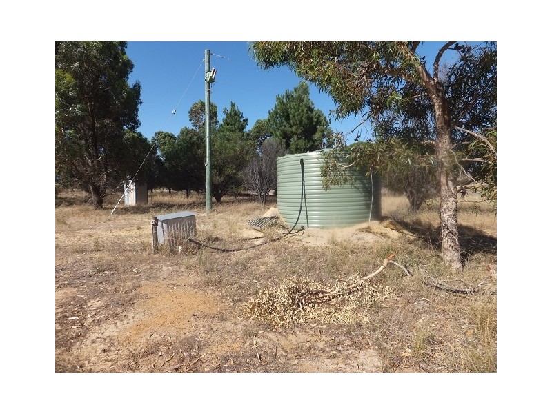 1253 Munbinea Road, Hill River WA 6521