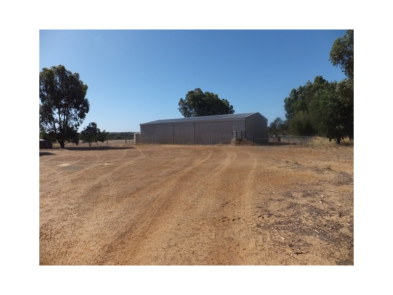 1253 Munbinea Road, Hill River WA 6521