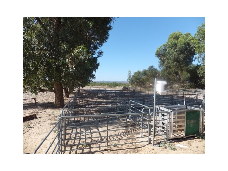 1253 Munbinea Road, Hill River WA 6521