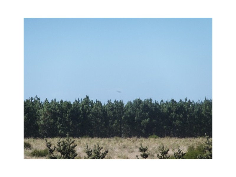 1253 Munbinea Road, Hill River WA 6521