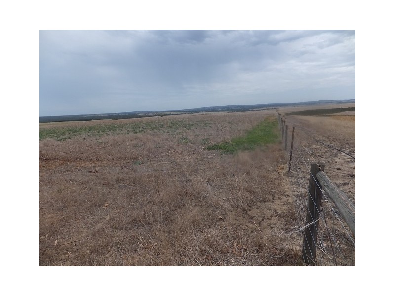 1253 Munbinea Road, Hill River WA 6521