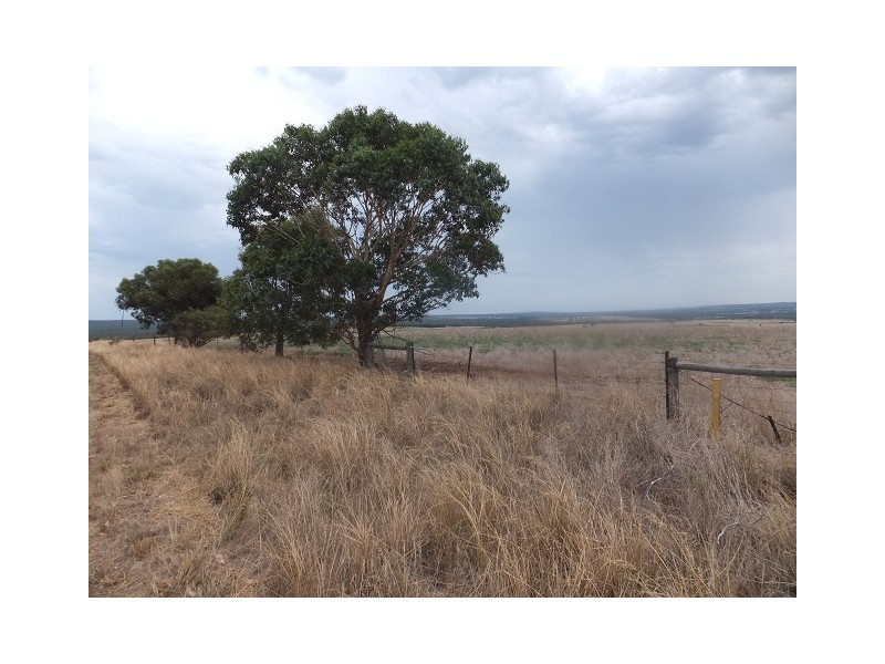 1253 Munbinea Road, Hill River WA 6521