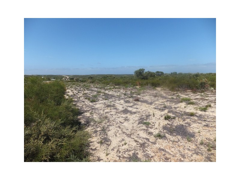 Lot 295 Sulina Crescent, Jurien Bay WA 6516