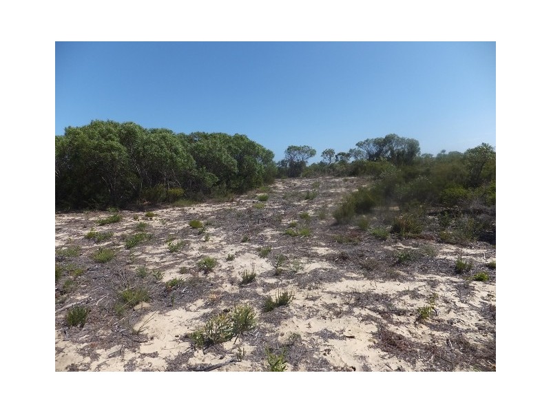 Lot 295 Sulina Crescent, Jurien Bay WA 6516