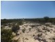 Lot 295 Sulina Crescent, Jurien Bay WA 6516