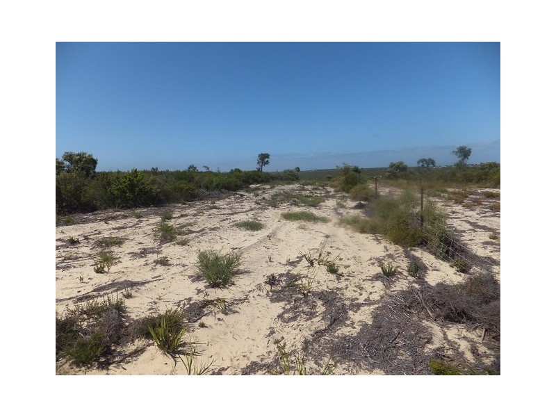 Lot 295 Sulina Crescent, Jurien Bay WA 6516