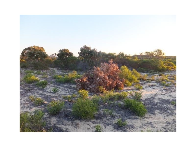 Lot 59 River Loop, Jurien Bay WA 6516