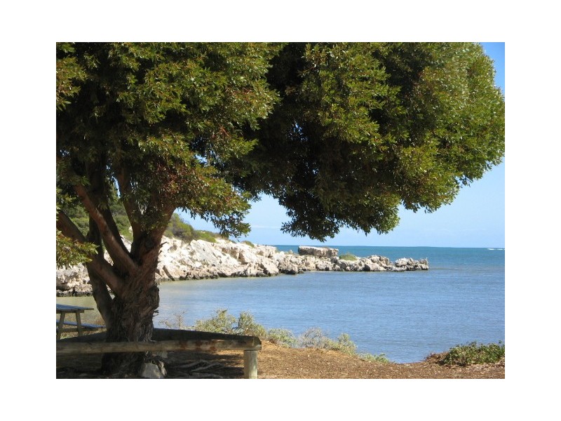 87 (LOT 572) NAIRN STREET, Leeman WA 6514