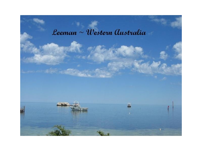 87 (LOT 572) NAIRN STREET, Leeman WA 6514