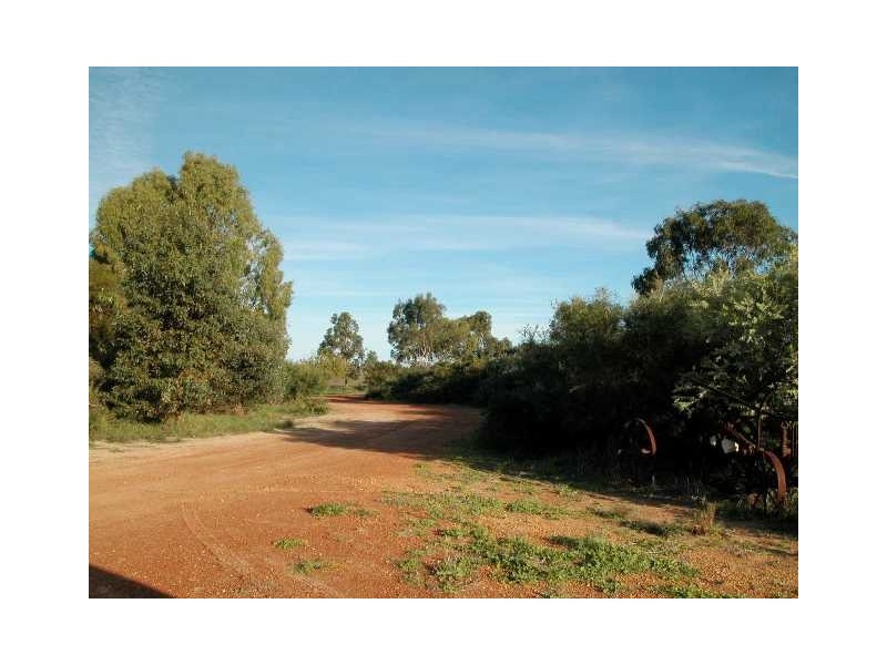 LOT  36 CAMBEWARRA DRIVE, Jurien Bay WA 6516