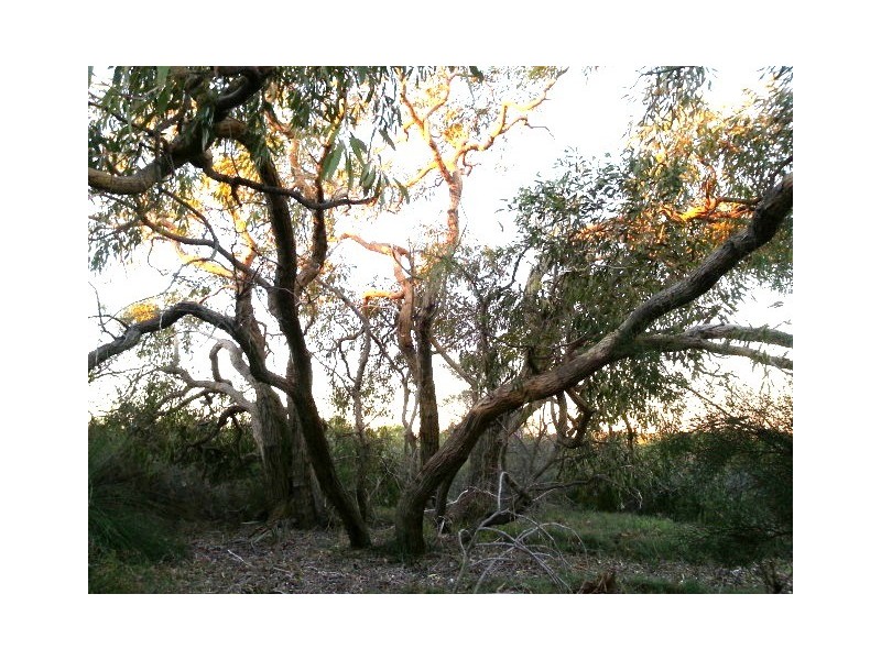 128 (LOT 39) RIVER LOOP, Jurien Bay WA 6516