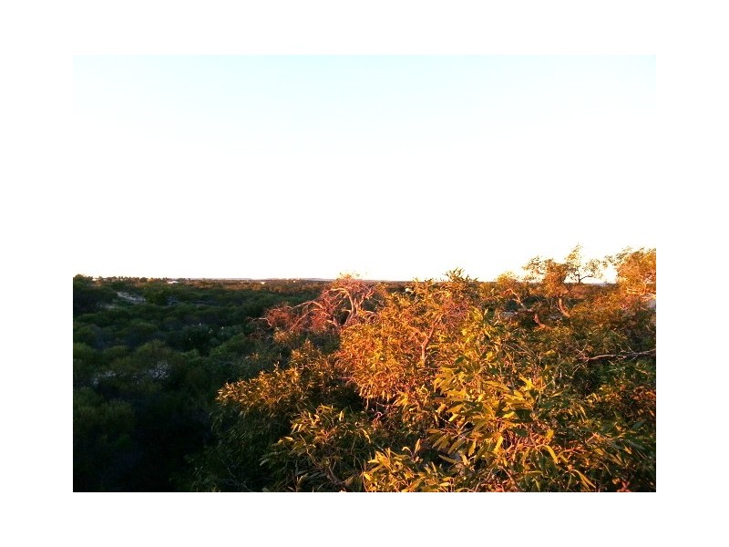 128 (LOT 39) RIVER LOOP, Jurien Bay WA 6516