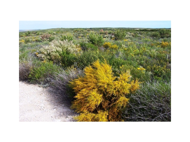 LOT 70 RIVER LOOP, Jurien Bay WA 6516