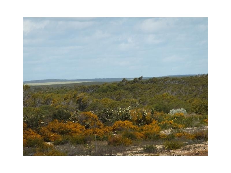 LOT 74 RIDGE WAY, Jurien Bay WA 6516