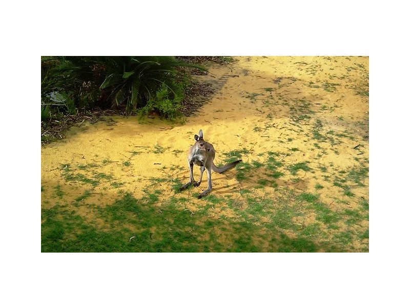 38 PREMIER DRIVE, Jurien Bay WA 6516