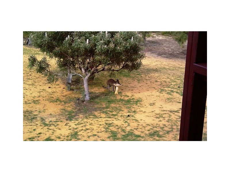 38 PREMIER DRIVE, Jurien Bay WA 6516