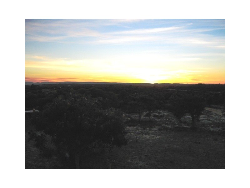 38 PREMIER DRIVE, Jurien Bay WA 6516