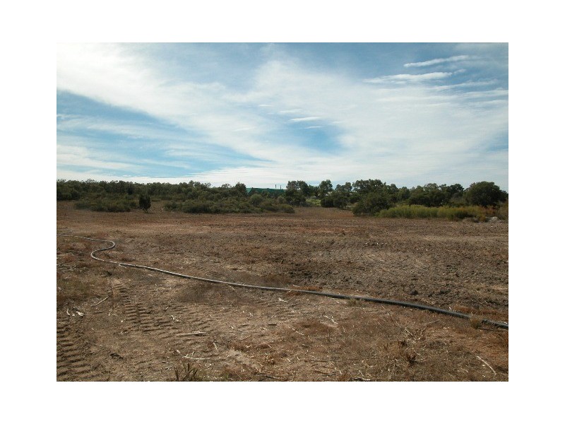 1480 (LOT 5) CANTABILLING ROAD, Jurien Bay WA 6516