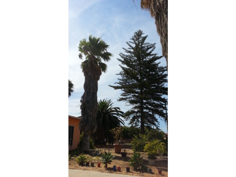 3 SHINGLE AVENUE, Jurien Bay WA 6516