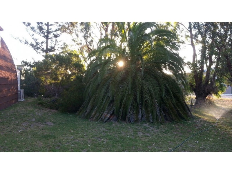 9 MALAGA COURT, Cervantes WA 6511