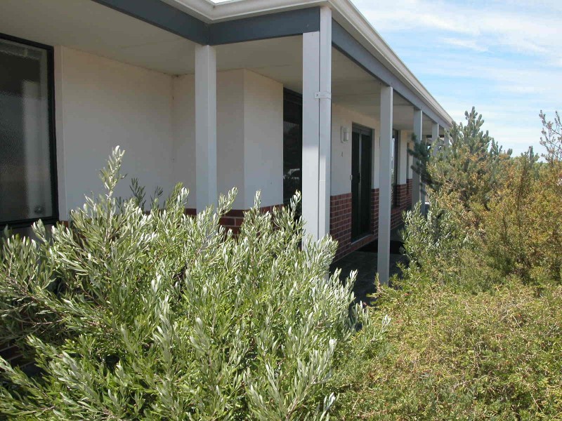 LOT 571 DRYANDRA BOULEVARD, Jurien Bay WA 6516