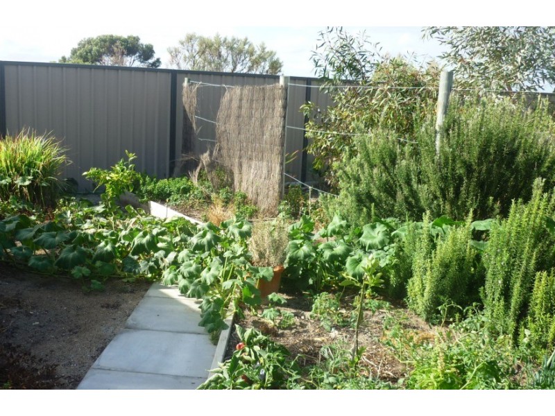 LOT 571 DRYANDRA BOULEVARD, Jurien Bay WA 6516