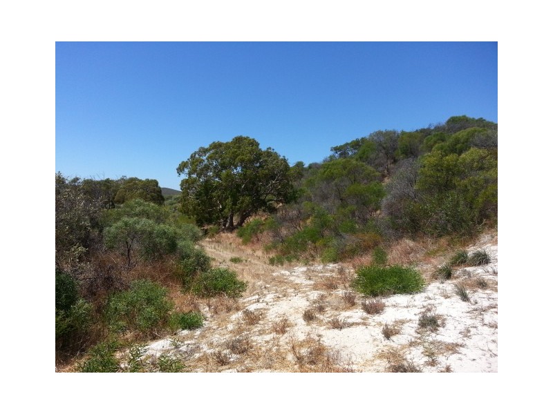 LOT 105 HOMESTEAD LOOP, Jurien Bay WA 6516