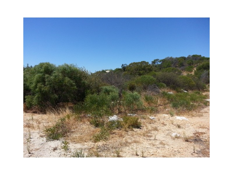 LOT 105 HOMESTEAD LOOP, Jurien Bay WA 6516