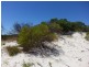 LOT 105 HOMESTEAD LOOP, Jurien Bay WA 6516