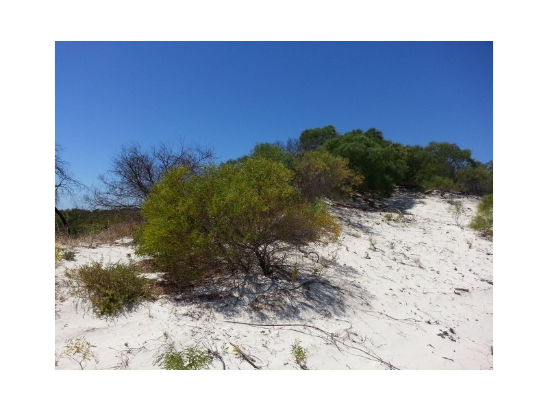 LOT 105 HOMESTEAD LOOP, Jurien Bay WA 6516