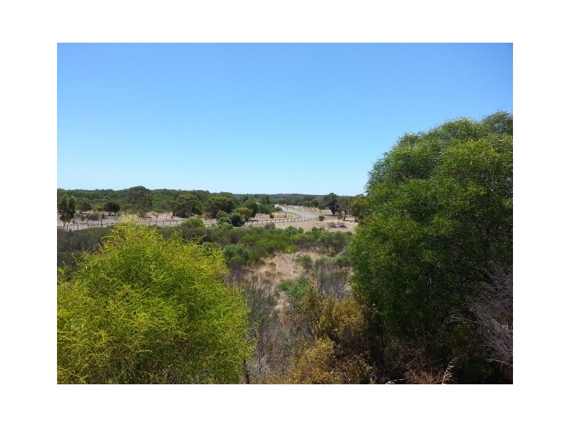 LOT 105 HOMESTEAD LOOP, Jurien Bay WA 6516