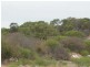LOT 105 HOMESTEAD LOOP, Jurien Bay WA 6516