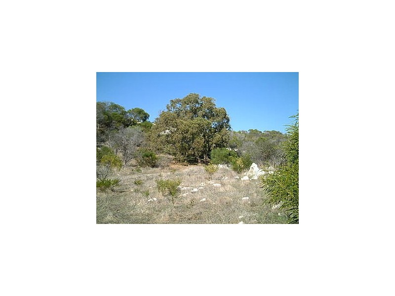 LOT 105 HOMESTEAD LOOP, Jurien Bay WA 6516